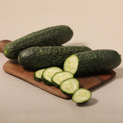 Pepino corto 
