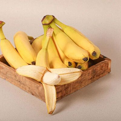 Manojo de Plátanos Tropicales 