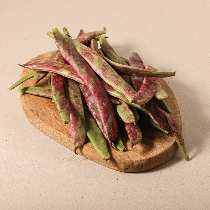 Mongeta vermella extra 