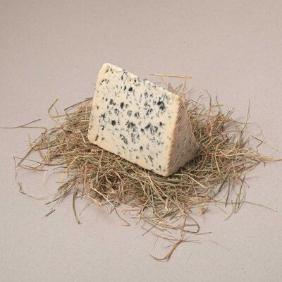 Blue d'auvergne Saint flour 