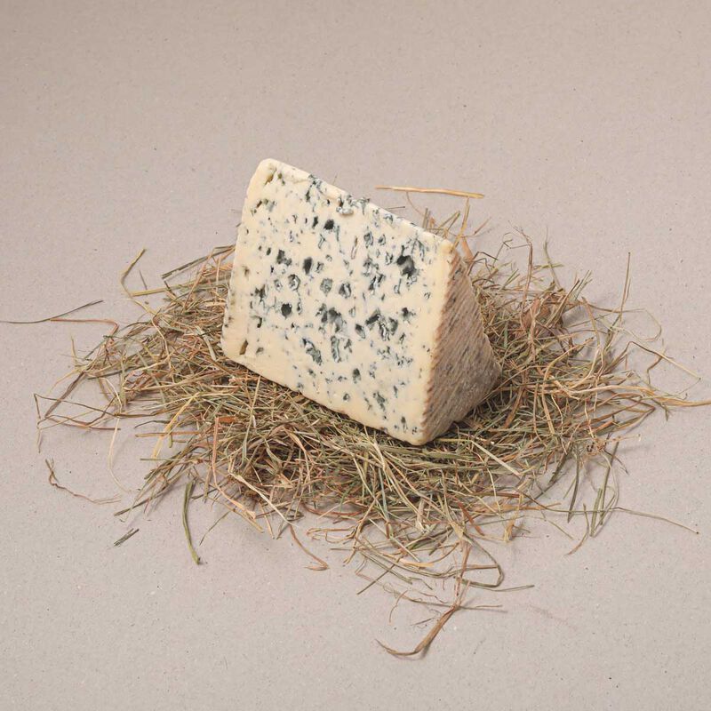 Blue d'auvergne Saint flour 