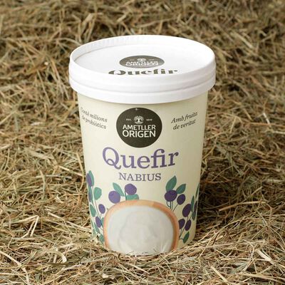 Kéfir con arándanos Ametller Origen 500 g 