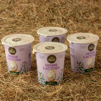 Iogurt ferm sense lactosa Ametller Origen 125g - 4u. 