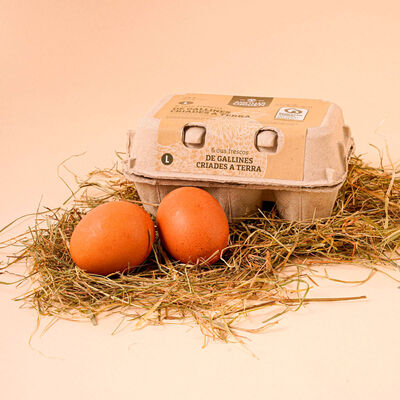 Huevos frescos de gallinas sueltas en el gallinero L Ametller Origen - 6uds. 