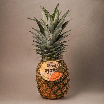 Pinya extra - unitat 