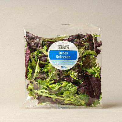 Brotes selectos Ametller Origen 100g 