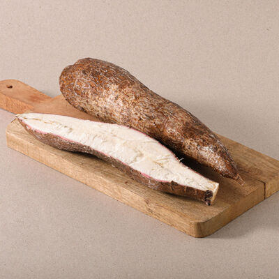 Yuca 