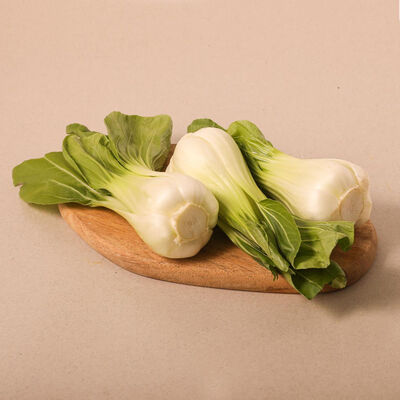 Pak Choi unidad 