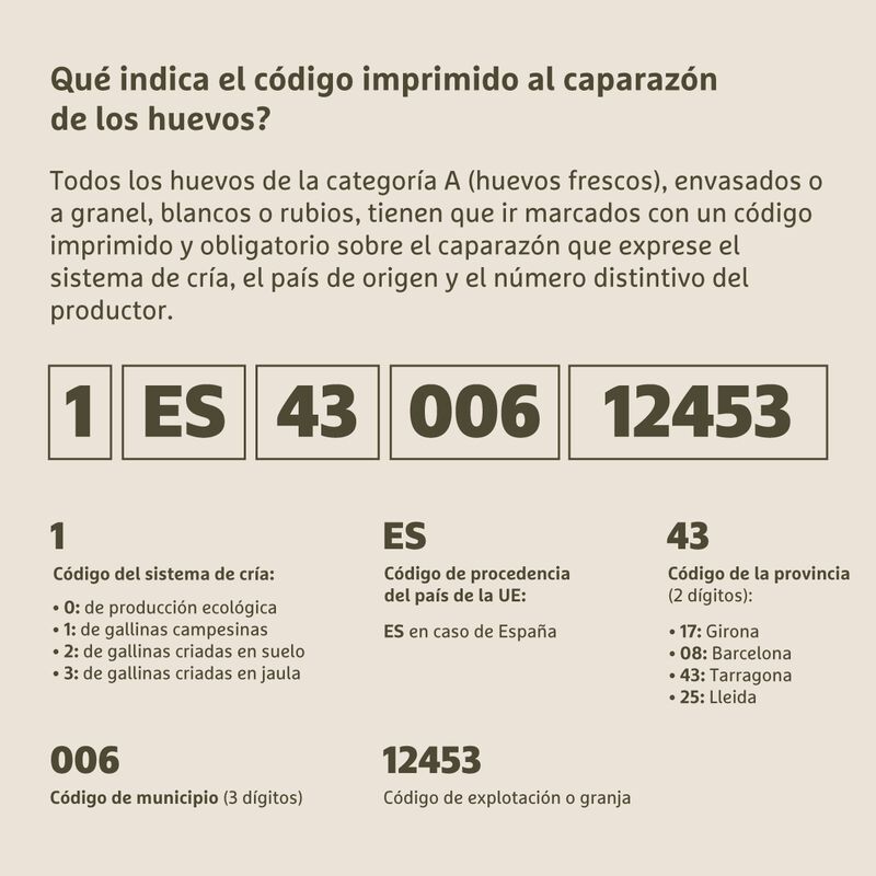 Huevos de gallinas sueltas M Essencials - 12uds.