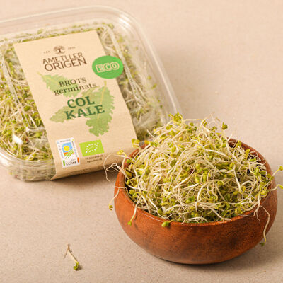 Brots germinats ecològics de col kale Ametller Origen 50g 