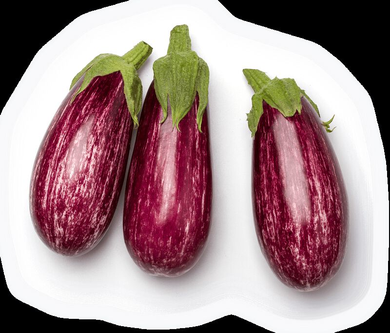 Albergínia ratllada 
