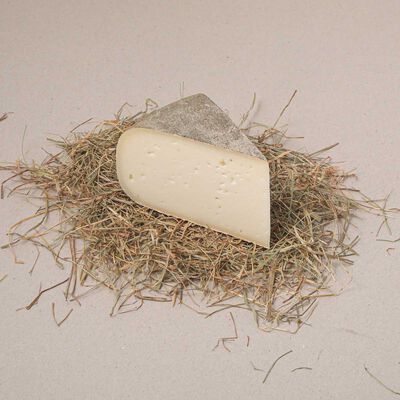 Queso cabra curat Can Xicoy 