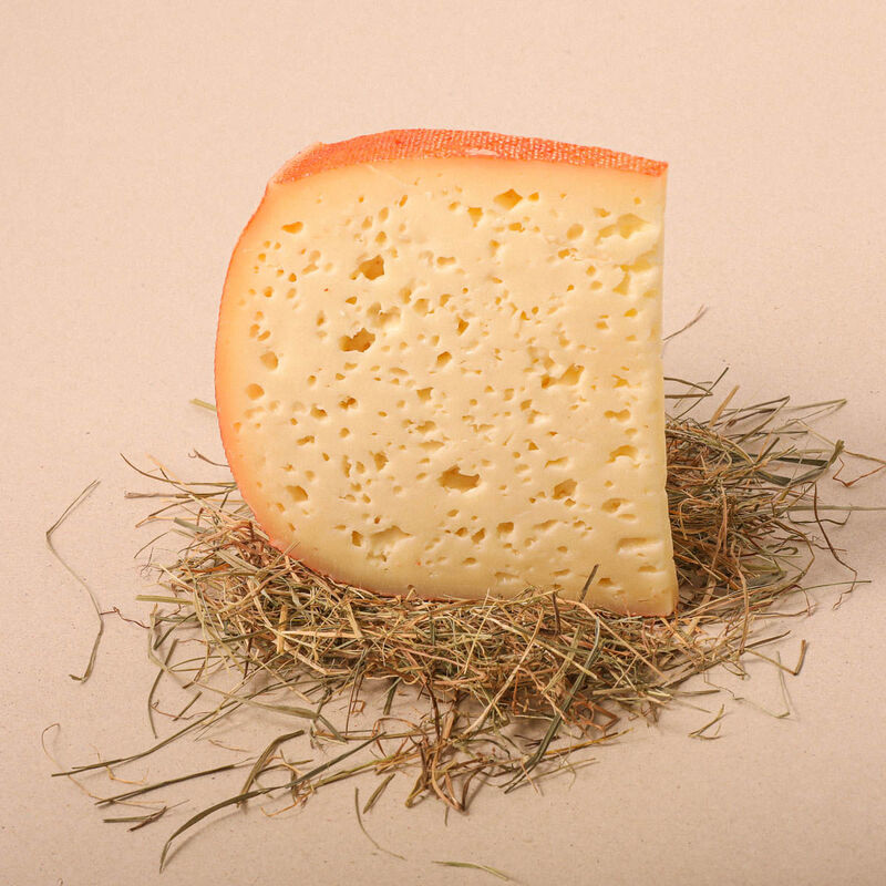 Queso semi curado Tavoliere Caseria Carpenedo 