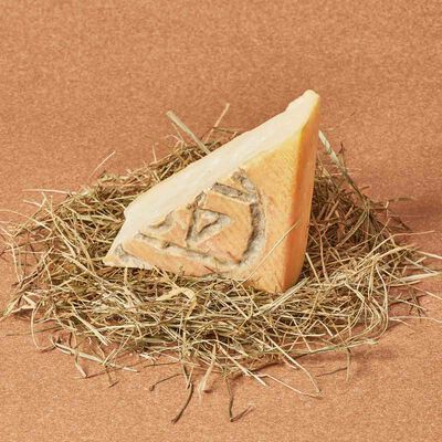 Formatge Taleggio Fermier Dop Casearia Carpenedo 