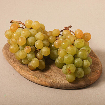 Uva moscatel 