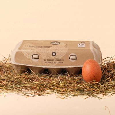 Huevos frescos de gallinas sueltas en el gallinero XL Ametller Origen - 10uds.