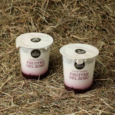 Yogur bicapa de frutos del bosque Ametller Origen 125g - 2uds. 