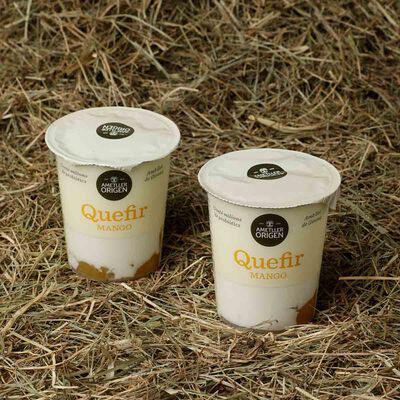 Kéfir de mango Ametller Origen 125g - 2uds. 