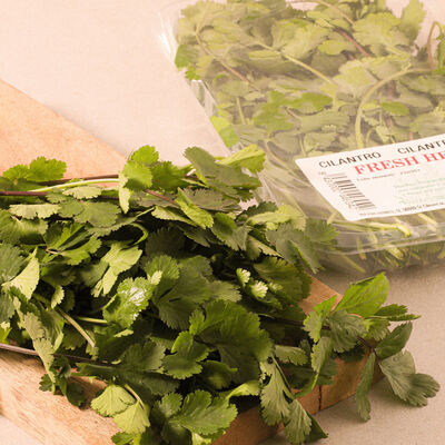Cilantro - bandeja 30 g aprox. 