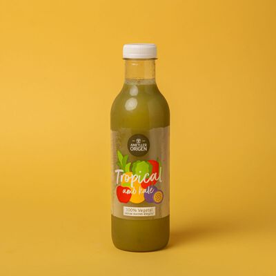 Suc refrigerat tropical amb kale Ametller Origen 750ml 