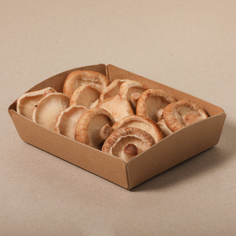 Shiitake extra - bandeja 200g 