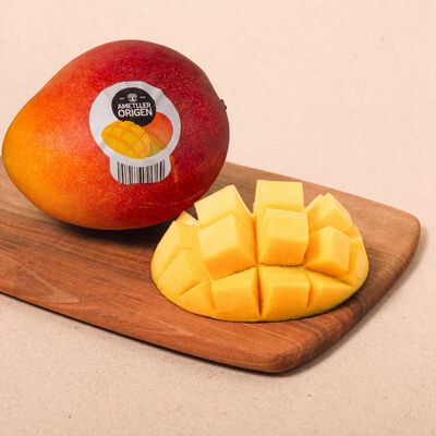 Mango Málaga unitat 