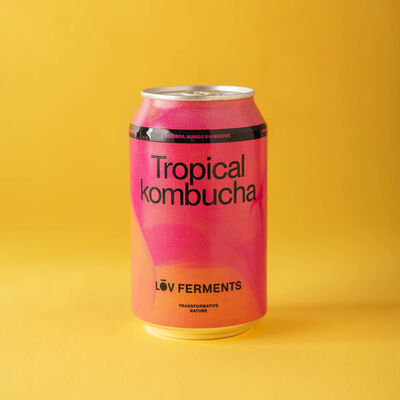 Kombucha ecológica Tropical Lov Ferments 330ml 
