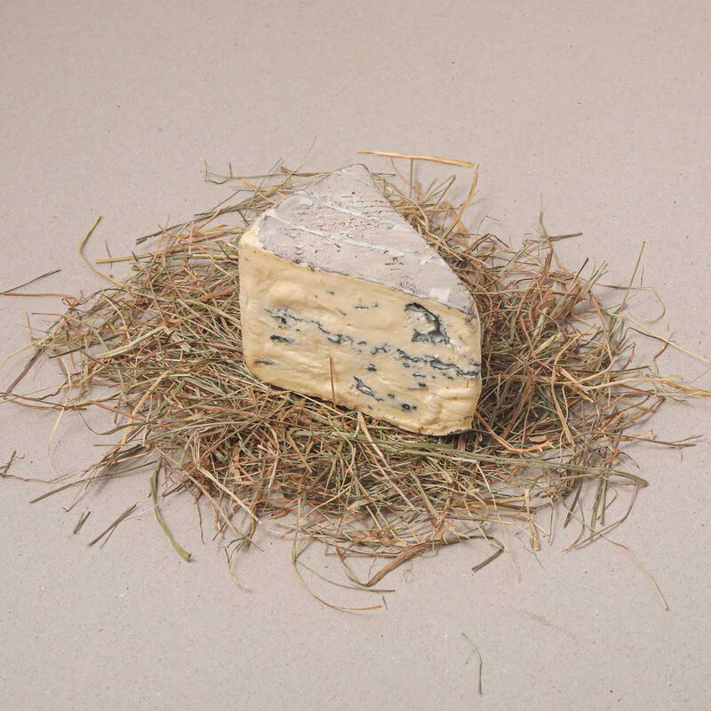 Queso montagnolo cremoso Kaserei C. 