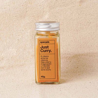 Just Curry Special Foods 45g 