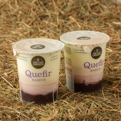 Kéfir con arándanos Ametller Origen 125g - 2uds. 