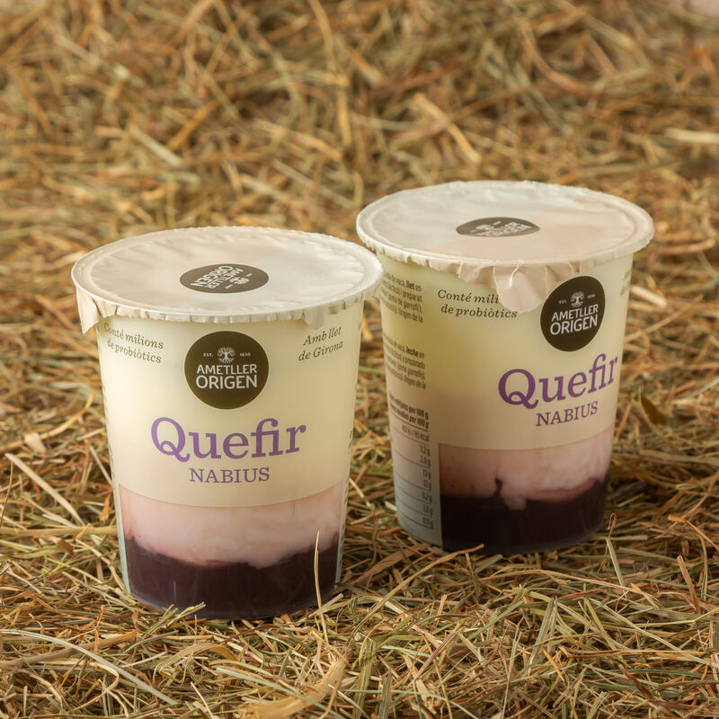 Kéfir con arándanos Ametller Origen 125g - 2uds.