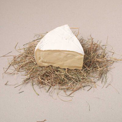 Camembert geant 