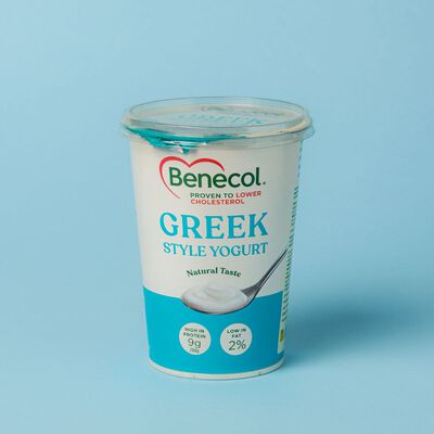Iogurt grec Benecol 450g 