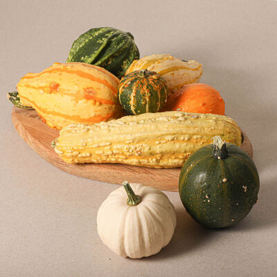 Calabaza para decoración - unidad 