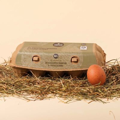 Huevos frescos de gallinas criadas al aire libre M/L Ametller Origen - 10uds. 