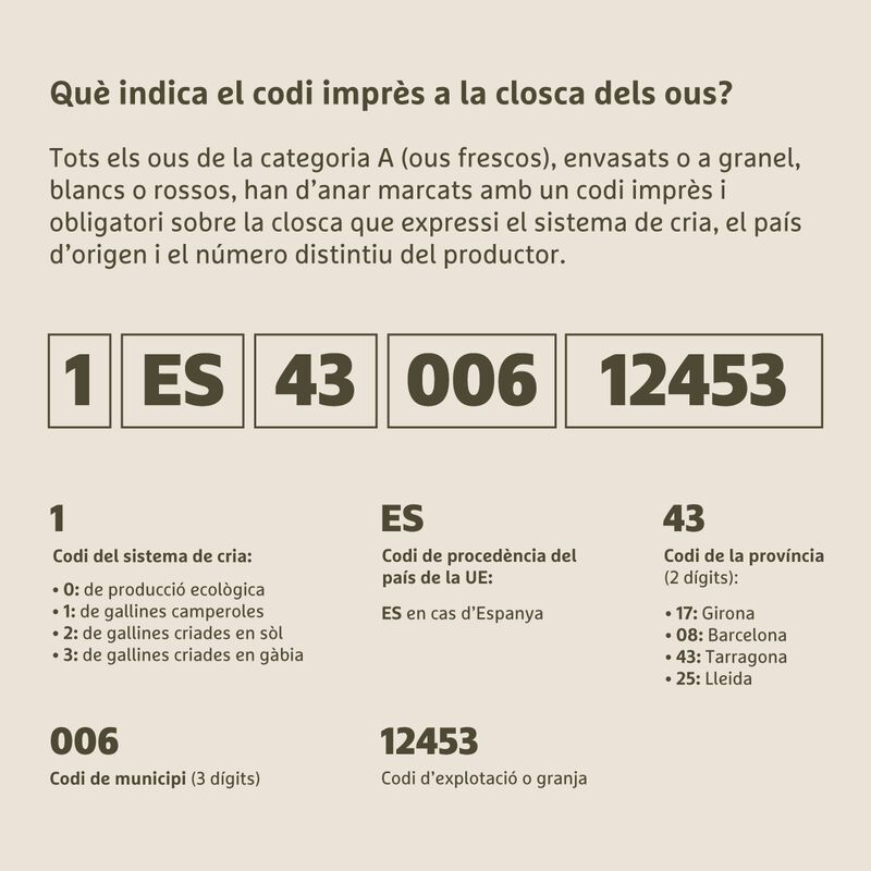 Huevos de gallinas criadas al aire libre L/XL Ametller Origen - 6uds. 