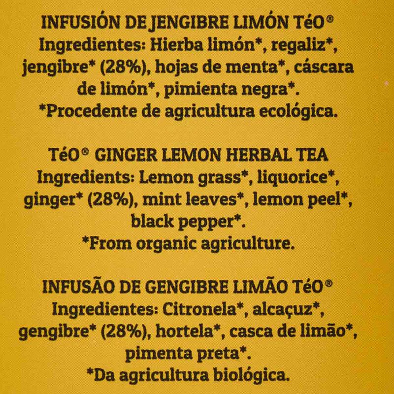 Infusión ecológica inspiración jengibre Téo 24g 