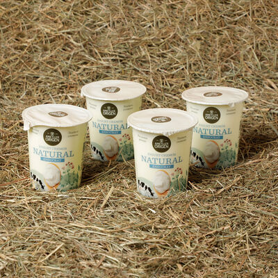 Yogur cremoso azucarado Ametller Origen 125g - 4uds. 