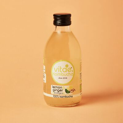 Kombucha limón genjibre Vitae 500ml 