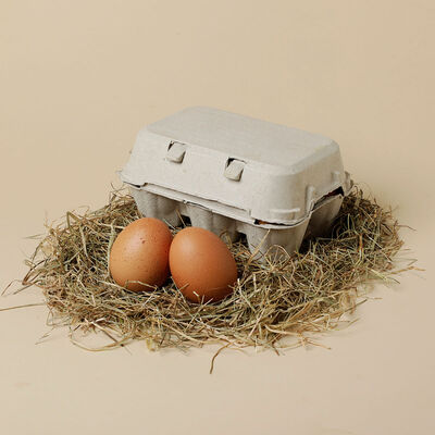 Huevos frescos de gallinas criadas en aire libre L/XL granel Ametller Origen - 6uds. 