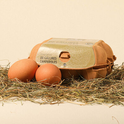 Huevos de gallinas criadas al aire libre L/XL Ametller Origen - 6uds. 