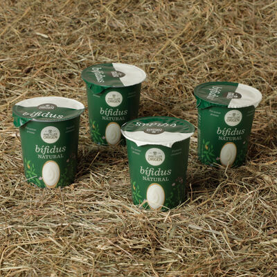Yogur bifidus natural cremoso Ametller Origen 125g - 4uds 