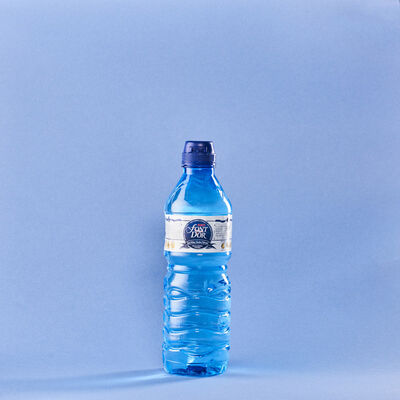 Aigua Bibex Font d'Or 500ml 