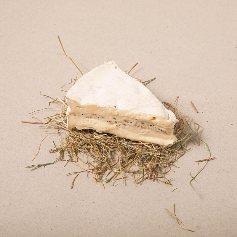 Brie amb tòfona Rouzaire 