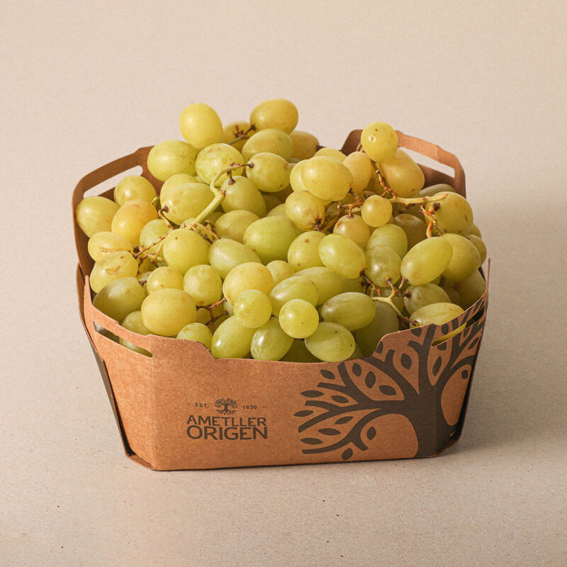 Raïm blanc - caixa 1kg 