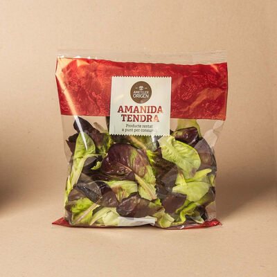 Ensalada tierna Ametller Origen 150g 