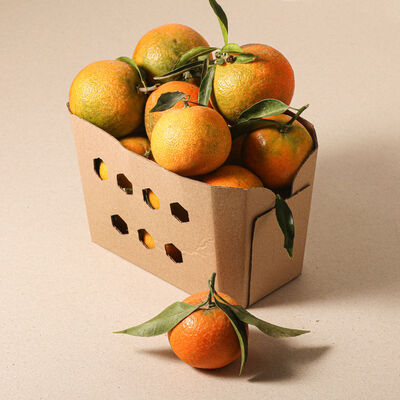Mandarina fulla - safata 1kg 