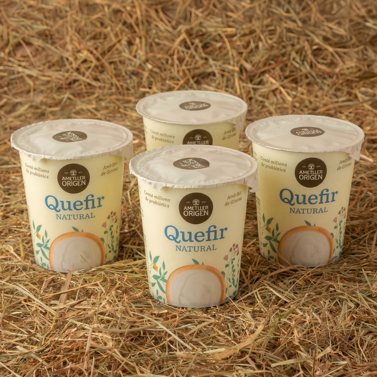 Quefir Ametller Origen 125g - 2u.