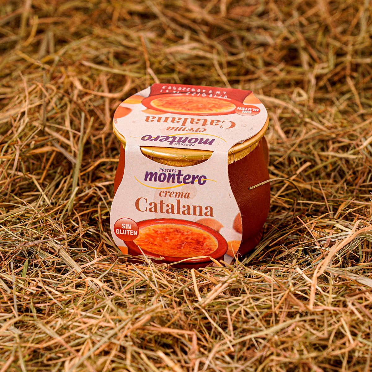 Crema catalana Postres Montero 140g