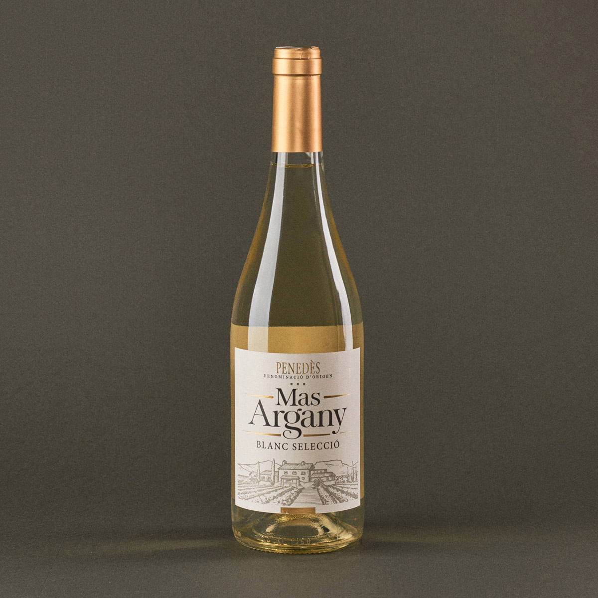 Vi blanc selecció Mas Argany 75cl D.O. Penedès